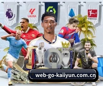 web-go-kaiiyun.com.cn APP | kaiyun